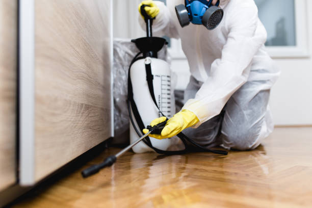 Best Local Pest Control Services  in Hightstown, NJ