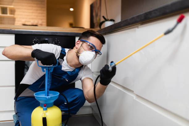 Best Best Pest Control Near Me  in Hightstown, NJ