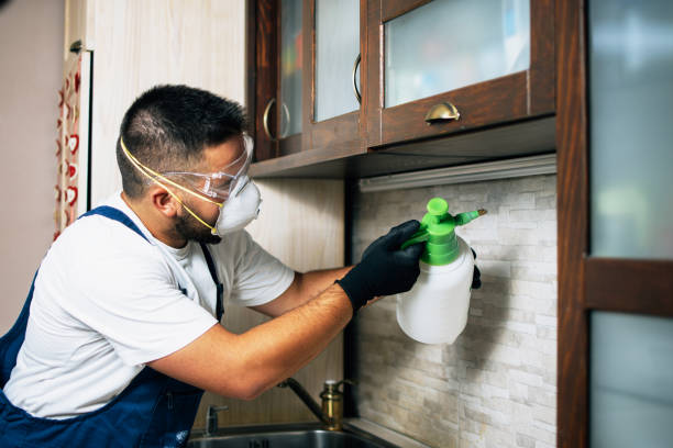 Best Flea Control Services  in Hightstown, NJ