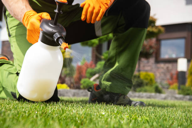Professional Pest Control in Hightstown, NJ