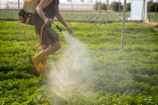 Best Pest Control Near Me  in Hightstown, NJ