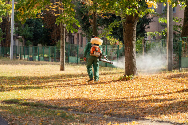 Best Rat Extermination Near Me  in Hightstown, NJ