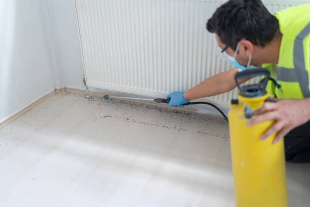 Best Best Pest Control Companies  in Hightstown, NJ